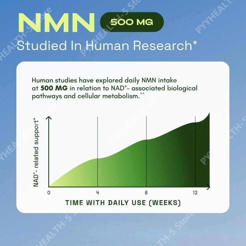 NMN 1000 mg Kapsel-Nahrungserg – Pre Workout Supplement Bewertung und Preis